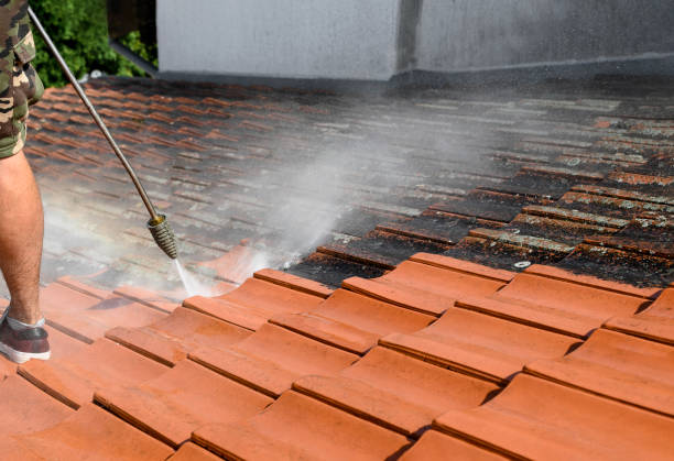 Best Affordable Power Washing  in Marlene Village, OR